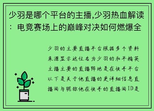 少羽是哪个平台的主播,少羽热血解读：电竞赛场上的巅峰对决如何燃爆全场？